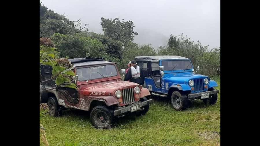 From Salento: Cocora Valley Hiking Tour with Lunch - Key Points I’d Put at the Top
