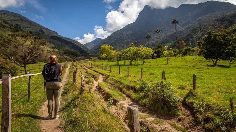 From Salento: Cocora Valley Hiking Tour with Lunch - The Palm-Forest Orientation Talk (Spanish or English) Before You Hike