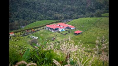 From Salento: Cocora Valley Hiking Tour with Lunch - The Morning Ride in a Classic Willys Jeep From Salento