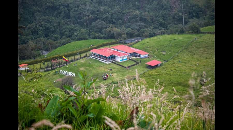 From Salento: Cocora Valley Hiking Tour with Lunch - The Morning Ride in a Classic Willys Jeep From Salento