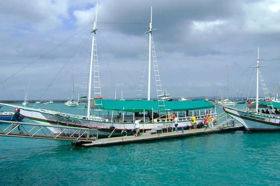 From Salvador: Schooner Tour to Frades Island - From Salvador’s Nautical Terminal to the Open Bay