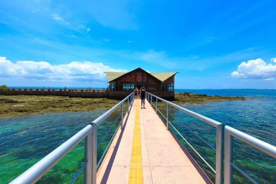 From Salvador: Schooner Tour to Frades Island - Ilha dos Frades: The Beach Day That Actually Lets You Relax