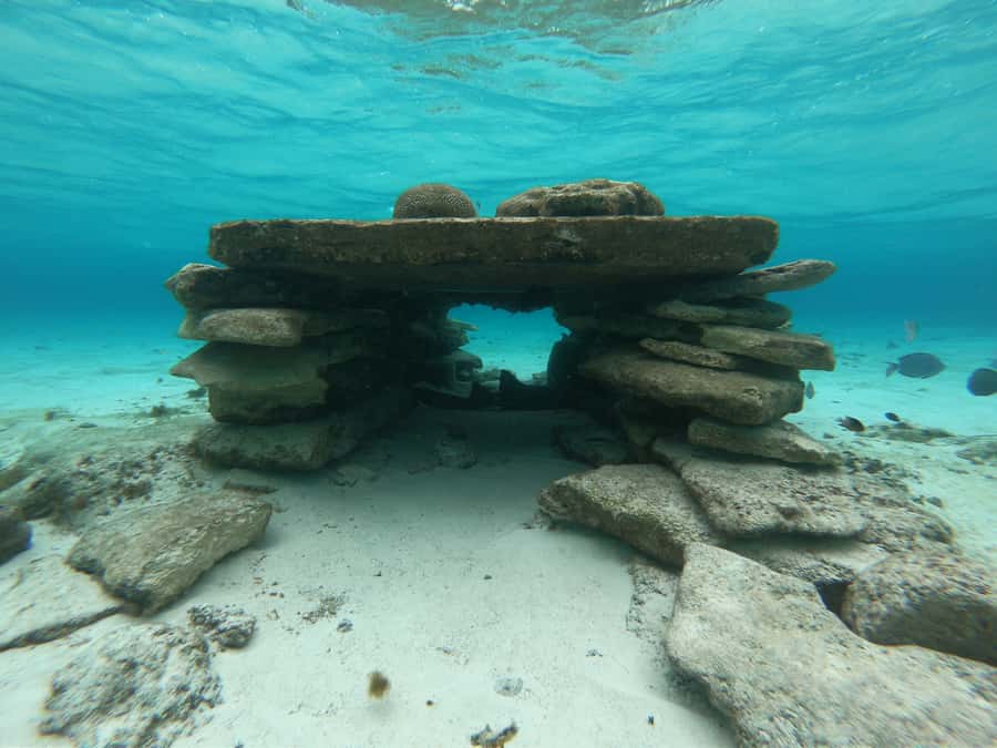 From San Andres: Cayo Acuario Tour - Snorkeling expectations: what’s included and what you’ll need to figure out