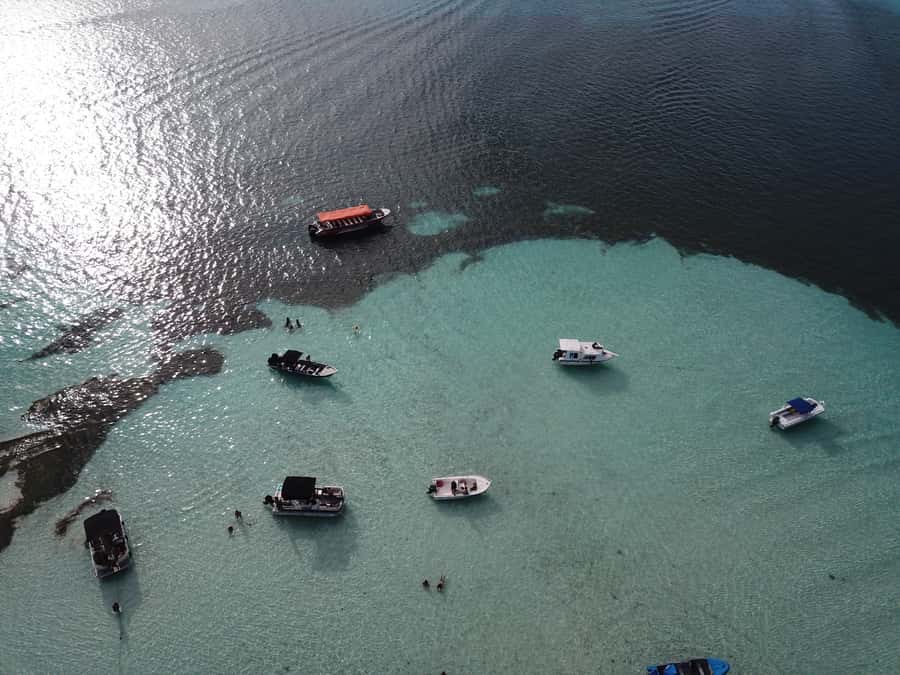 From San Andres: Cayo Acuario Tour - Who this San Andrés boat trip fits best