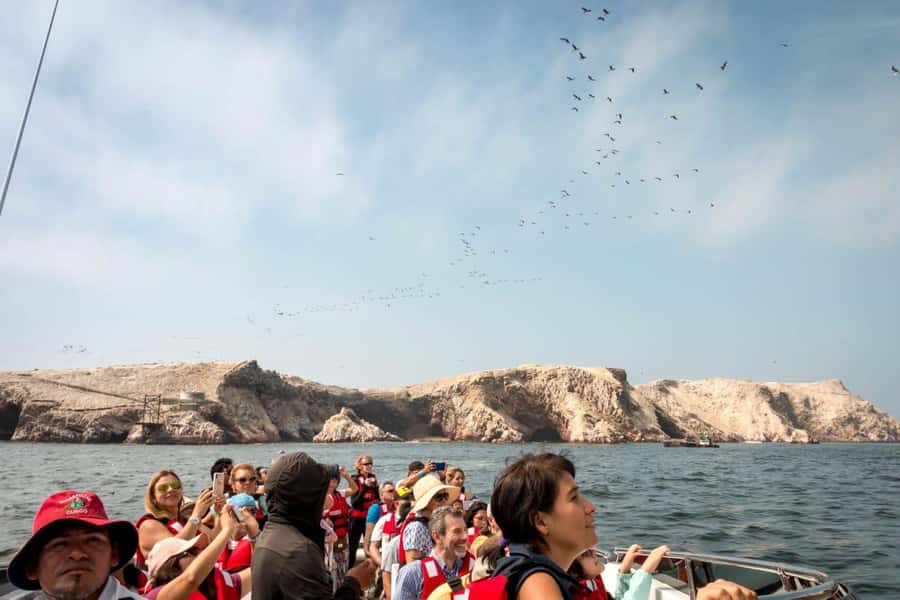 From San Martin Port: Ballestas Island & Paracas Reserve - Key points you’ll care about