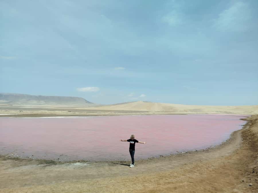 From San Martin Port: Ballestas Island & Paracas Reserve - Why Ballestas + Paracas works so well in 5 hours