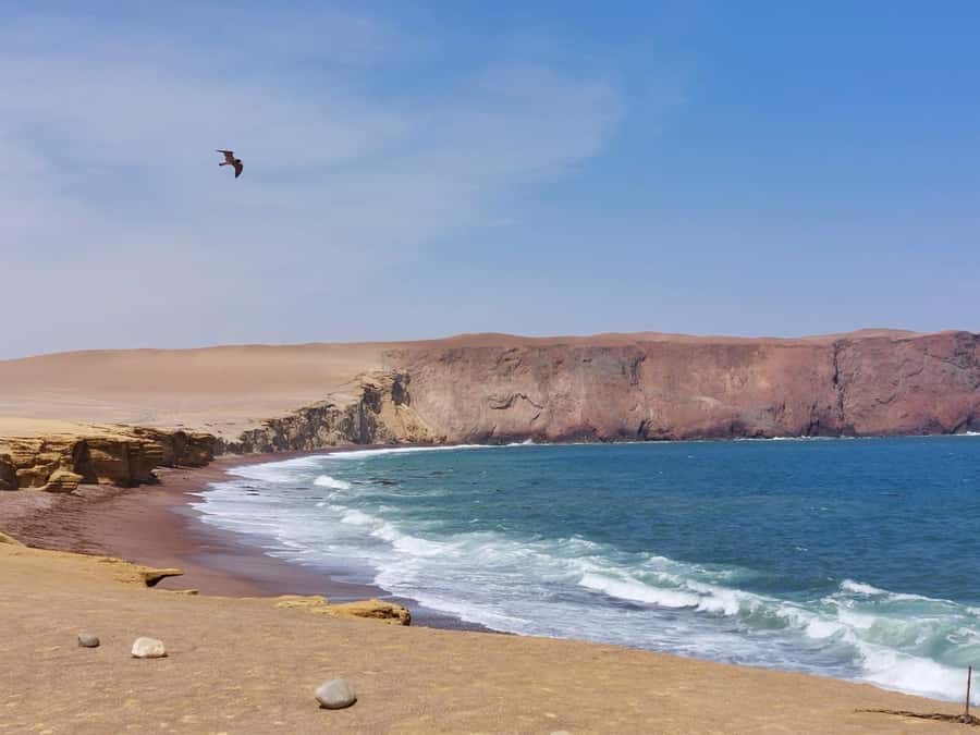 From San Martin Port: Ballestas Island & Paracas Reserve - Passing the Candelabro geoglyph from the water