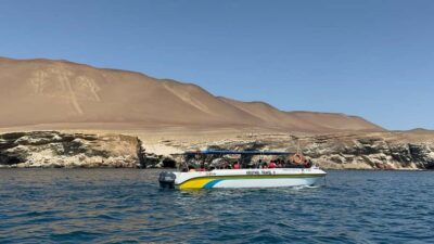 From San Martin Port: Ballestas Island & Paracas Reserve - San Martín Port to El Chaco: the start that sets the tone