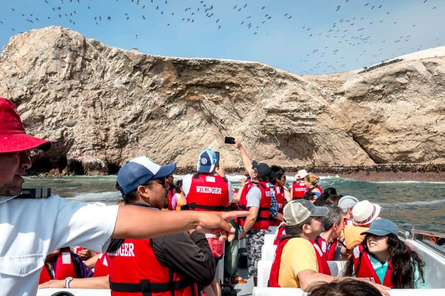 From San Martin Port: Ballestas Island & Paracas Reserve - Ballestas Islands wildlife: where the animals do the tour