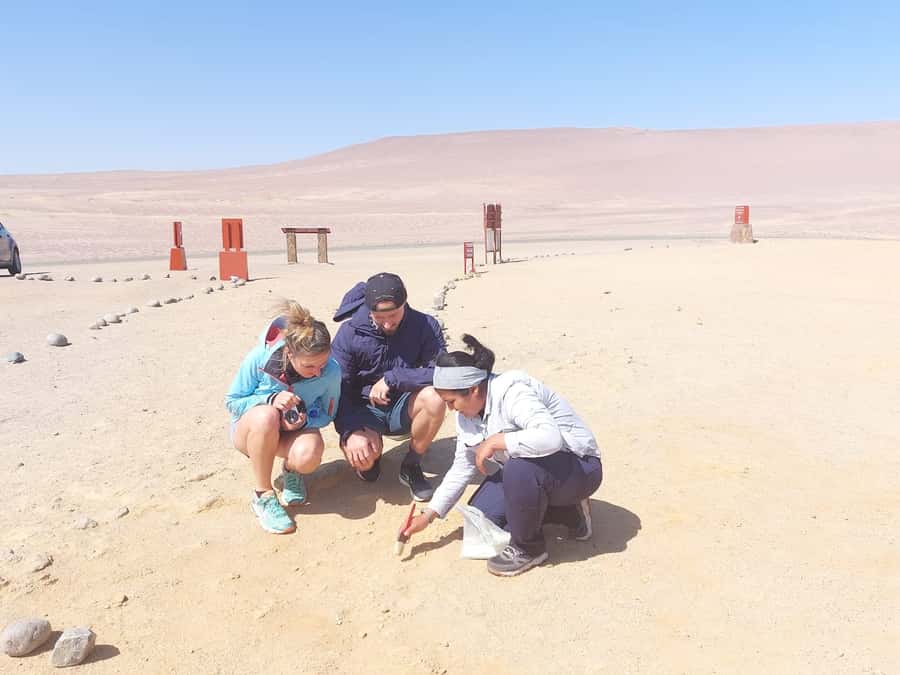 From San Martin Port: Ballestas Island & Paracas Reserve - The logistics feel: transport times, queues, and what to pack