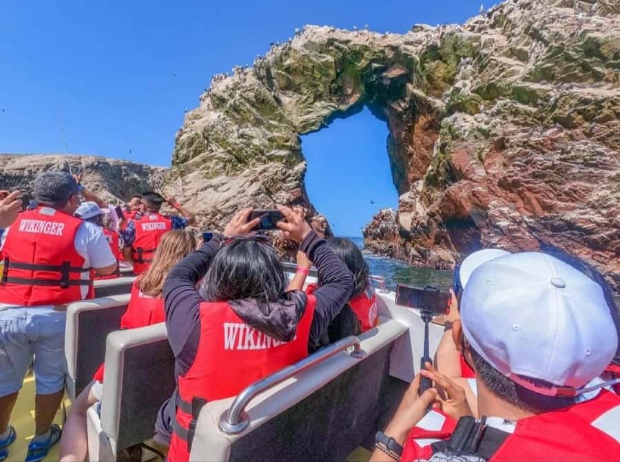 From San Martin Port: Ballestas Islands Tour in Paracas - Why guano matters here: it’s not just a bird story