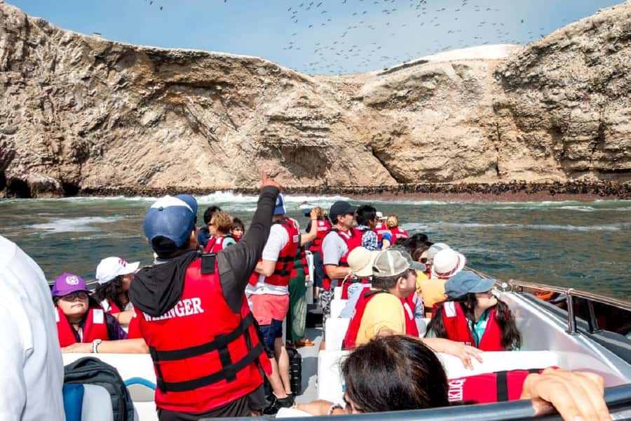 From San Martin Port: Ballestas Islands Tour in Paracas - Who this tour fits (and who should skip it)