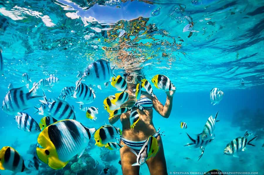 From Santa Marta: Sisiguaca Beach Hike with Snorkeling - Parque de los Novios: meeting Santa Marta and the Taganga story