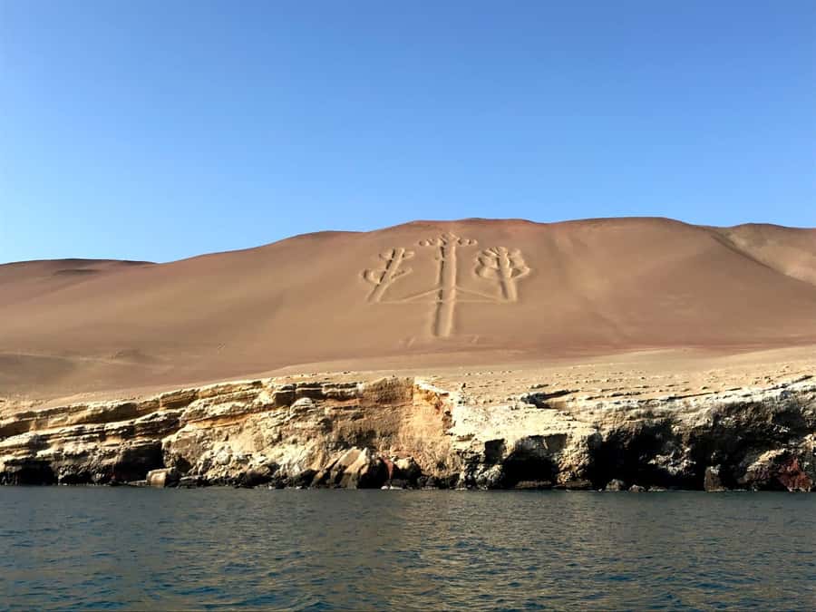 Ica: Ballestas Island & Paracas Reserve Private Tour - Key moments you’ll care about