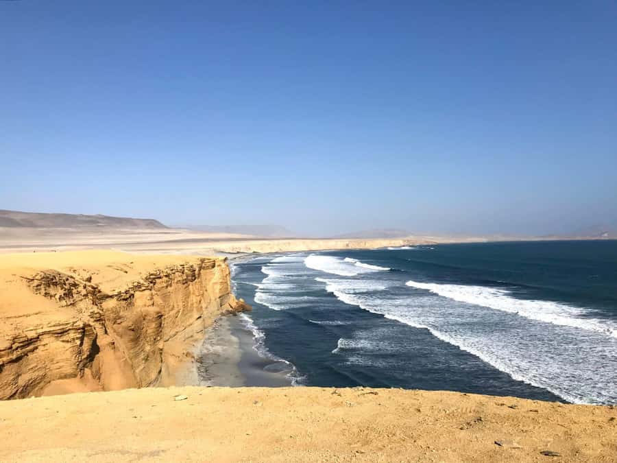 Ica: Ballestas Island & Paracas Reserve Private Tour - Who should book this Ballestas and Paracas tour