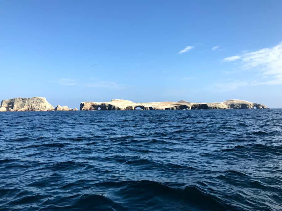 Ica: Ballestas Island & Paracas Reserve Private Tour - From Ica pickup to Marina Turistica: smooth start, less wasted time