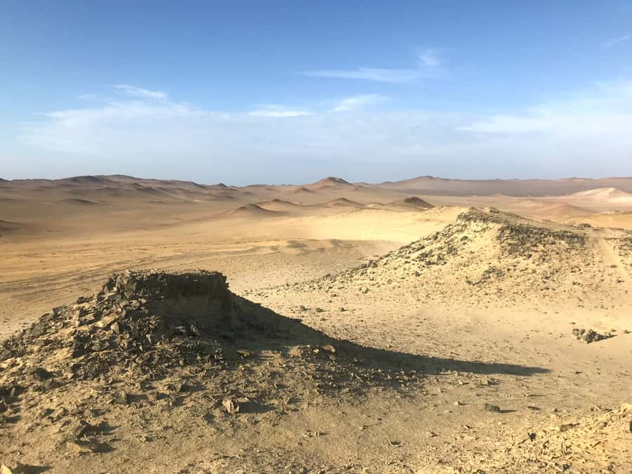 Ica: Ballestas Island & Paracas Reserve Private Tour - What to pack, and how to avoid the common small problems