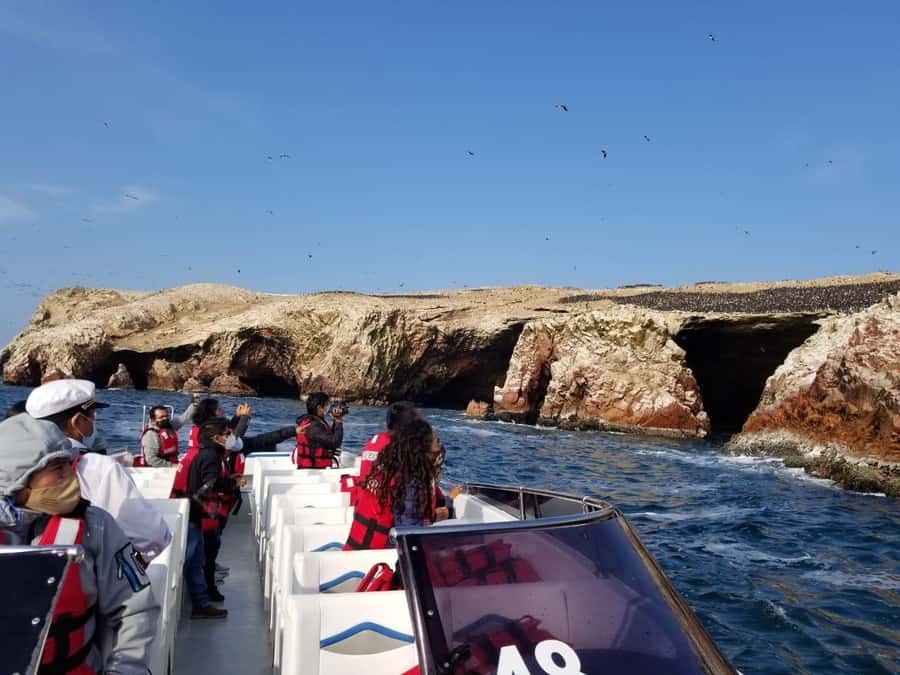 Ica: Ballestas Island & Paracas Reserve Private Tour - How the guide and organization make the day feel easy