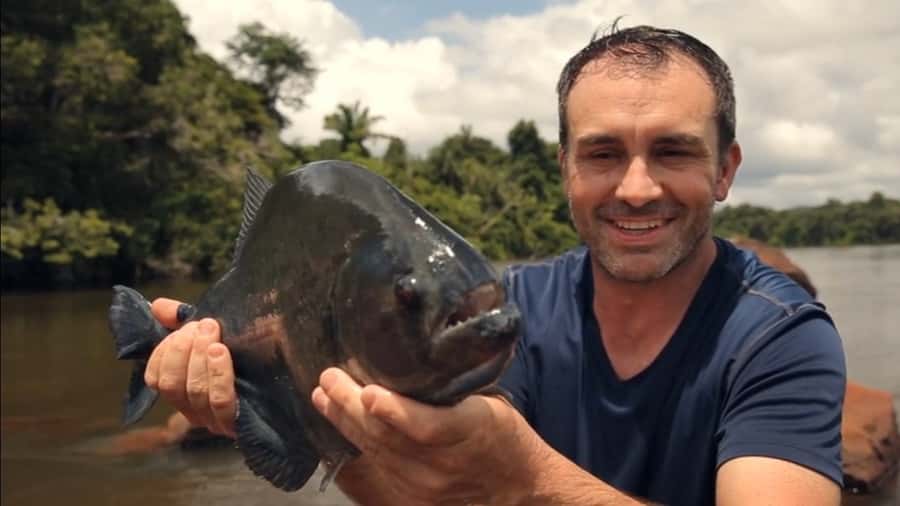 Iquitos: Piranha Fishing Experience in the Amazon jungle - Key points before you book