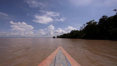 Iquitos: Piranha Fishing Experience in the Amazon jungle - The Itaya River crossing: your 1-hour stretch of jungle views