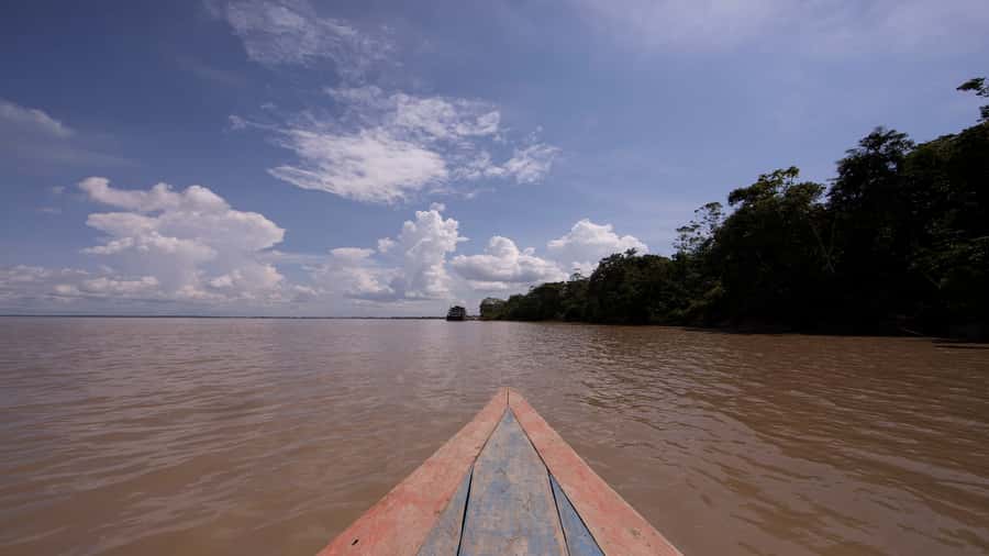Iquitos: Piranha Fishing Experience in the Amazon jungle - The Itaya River crossing: your 1-hour stretch of jungle views