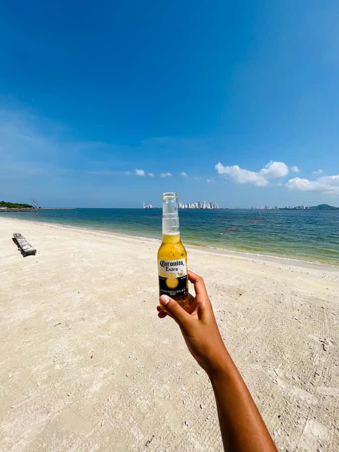 Isla Tierra Bomba beach club: Day Pass with typical food - Price and Value: What You’re Really Paying For