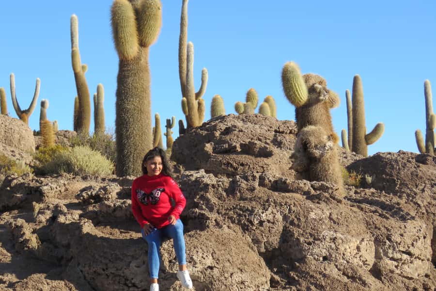 La Paz: Uyuni Salt Flats & Lagoon Share Trip (private room) - Day 3: Canapa, Chiarkota, Ramaditas, Siloli Desert, Stone Tree, Red Lagoon