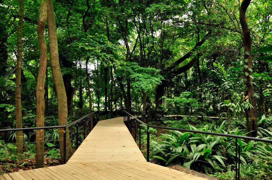 Medellín: Botanical Garden and Arvi Park City Tour - Key points you’ll care about