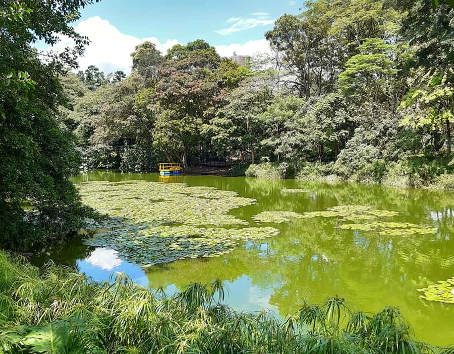 Medellín: Botanical Garden and Arvi Park City Tour - Should you book this Botanical Garden and Arví Park tour?