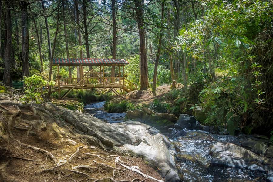 Medellín: Botanical Garden and Arvi Park City Tour - Starting in Medellín: pickup near Antioquia University and city highlights