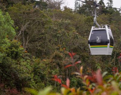 Medellín: Botanical Garden and Arvi Park City Tour - Inside the Medellín Botanical Garden: a living museum built around biodiversity