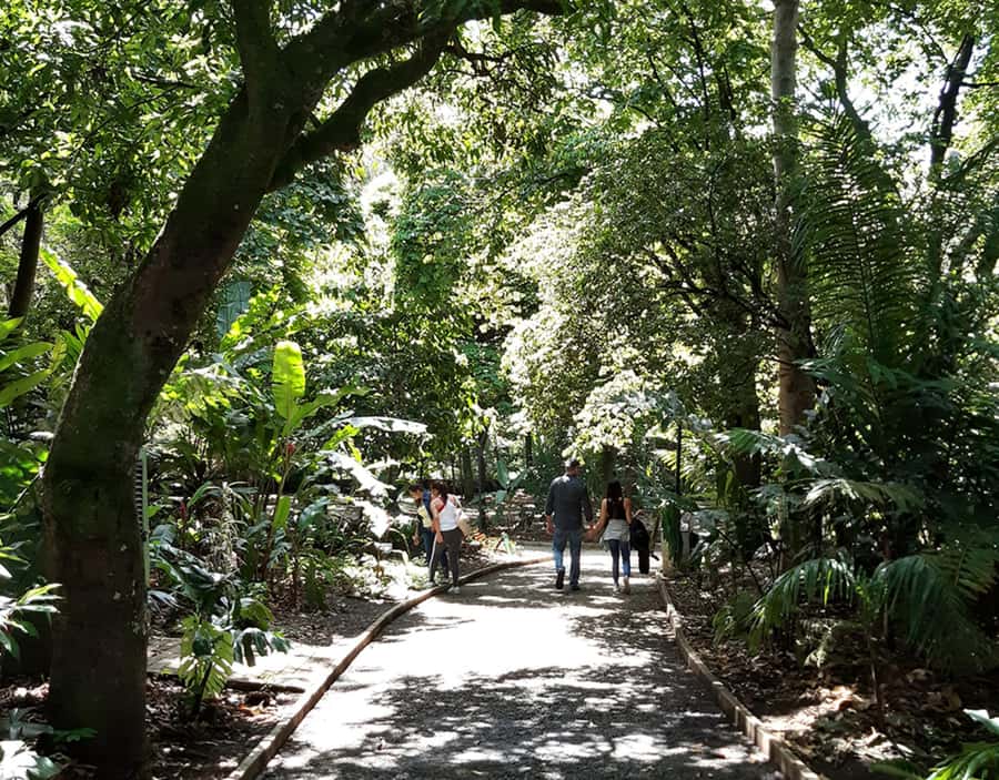 Medellín: Botanical Garden and Arvi Park City Tour - Who should book this Medellín nature-and-heights tour