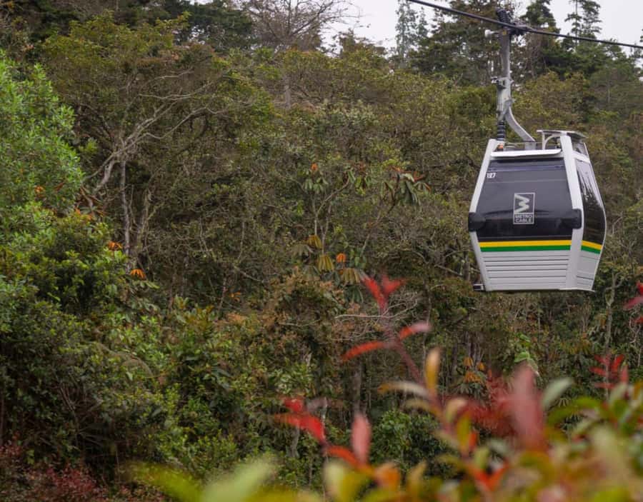Medellín: Botanical Garden and Arvi Park City Tour - Inside the Medellín Botanical Garden: a living museum built around biodiversity