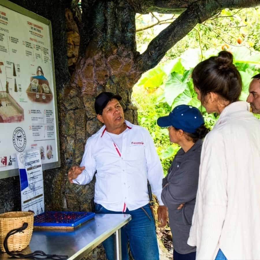 Medellin: Coffee Farm and Barista Workshop Experience - The 3-Hour Barista Workshop: Variables You Can Actually Spot