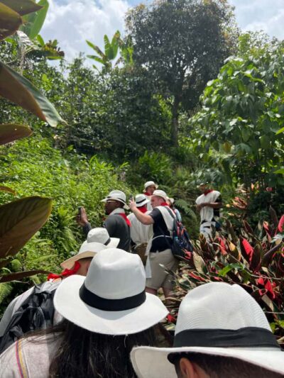 Medellín: Coffee Tour Experience at a Coffee Farm - Meeting a coffee master: Andean coffee explained the practical way