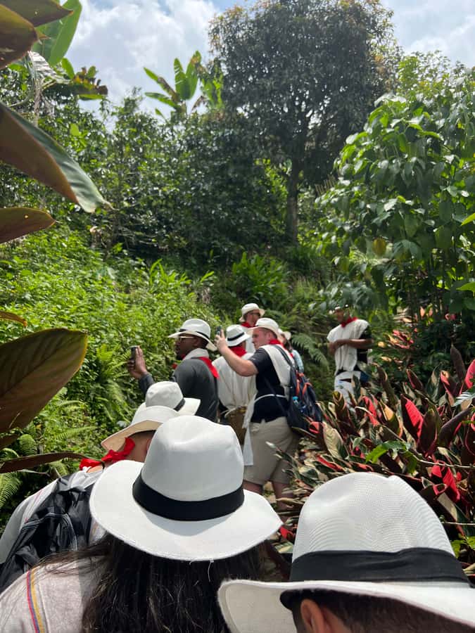 Medellín: Coffee Tour Experience at a Coffee Farm - Meeting a coffee master: Andean coffee explained the practical way