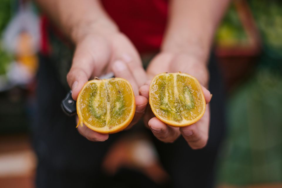 Medellín: Guided Exotic Fruits Tour - Walking, timing, and what to bring for a smooth market stroll