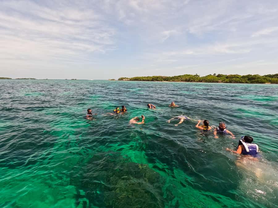 Playa Blanca: Daytour with Snorkeling and Racoon Sighting - Key highlights worth planning around