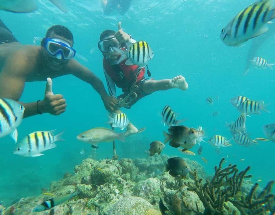 Playa Blanca: Daytour with Snorkeling and Racoon Sighting - Getting to Playa Blanca: Cartagena pickup and the road to Baru