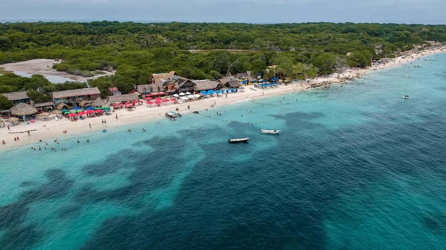 Playa Blanca: Daytour with Snorkeling and Racoon Sighting - Snorkeling: what’s included, and how to judge it honestly
