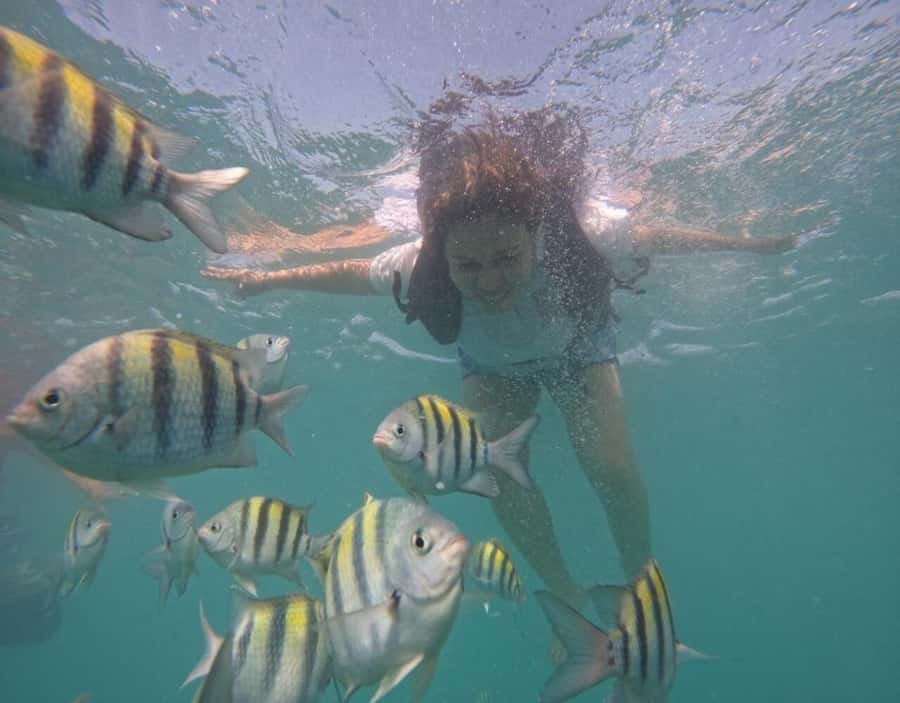 Playa Blanca: Daytour with Snorkeling and Racoon Sighting - Mangroves walk and raccoon interaction: the standout moment