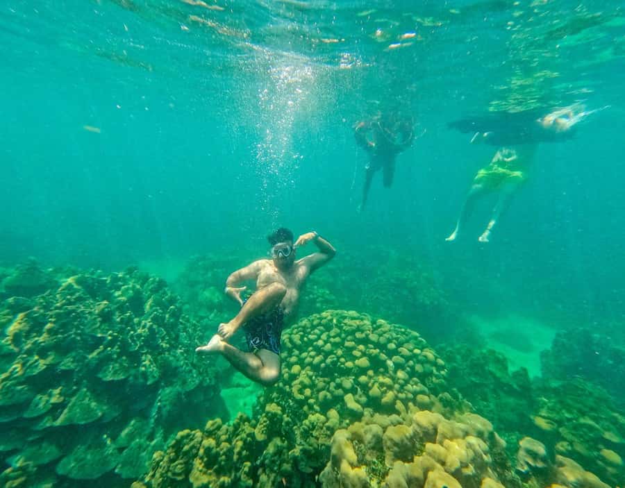 Playa Blanca: Daytour with Snorkeling and Racoon Sighting - Price and value: does $60 make sense for this mix?