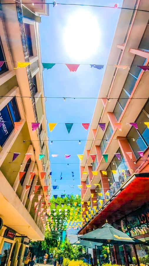 Salida de Cartagena: City Tour a Barranquilla & Santa Marta - Who should book this Barranquilla and Santa Marta day trip