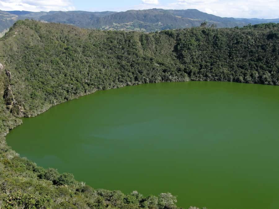 Salt Cathedral and Guatavita Lake with Lunch and Guide - Price and Time: Is $122 a Smart Deal?