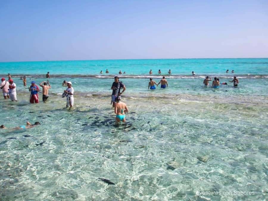 San Andres: Acuario Key Premium Tour - How to think about the overall quality (rating and what it signals)