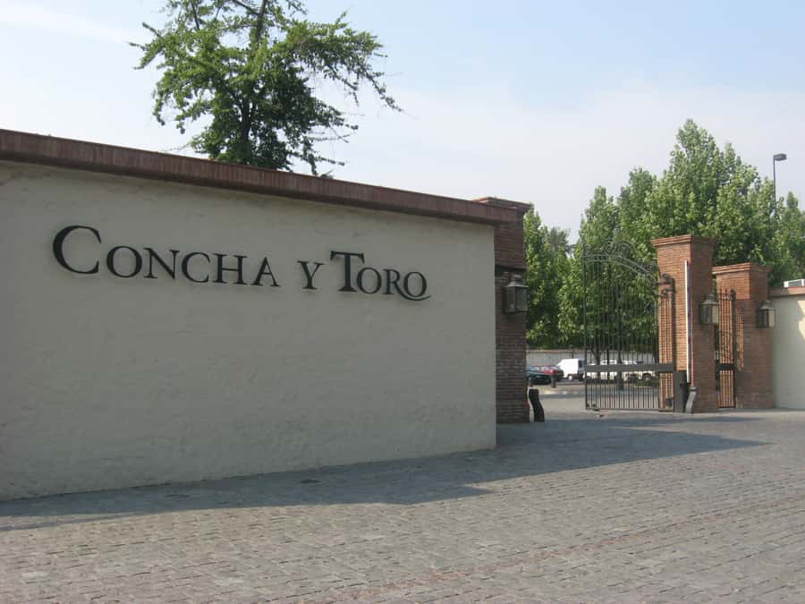 Santiago: Concha y Toro and Undurraga Vineyards Tour - How the wine tastings actually help (instead of just taking your time)