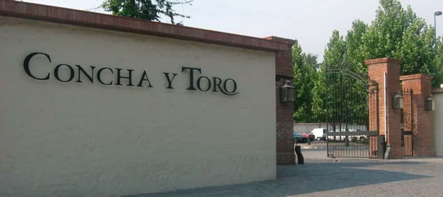Santiago: Concha y Toro Winery 4–Hour Tour & Sommelier Class - The Old Pirque Vineyard and Your Panoramic Maipo Valley View