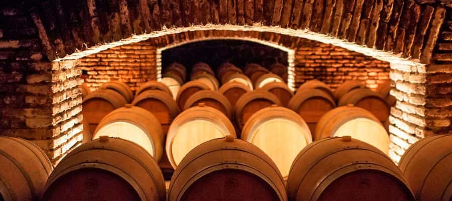 Santiago: Concha y Toro Winery 4–Hour Tour & Sommelier Class - Garden of Varieties: 26 Types of Grape, One Focused Walk