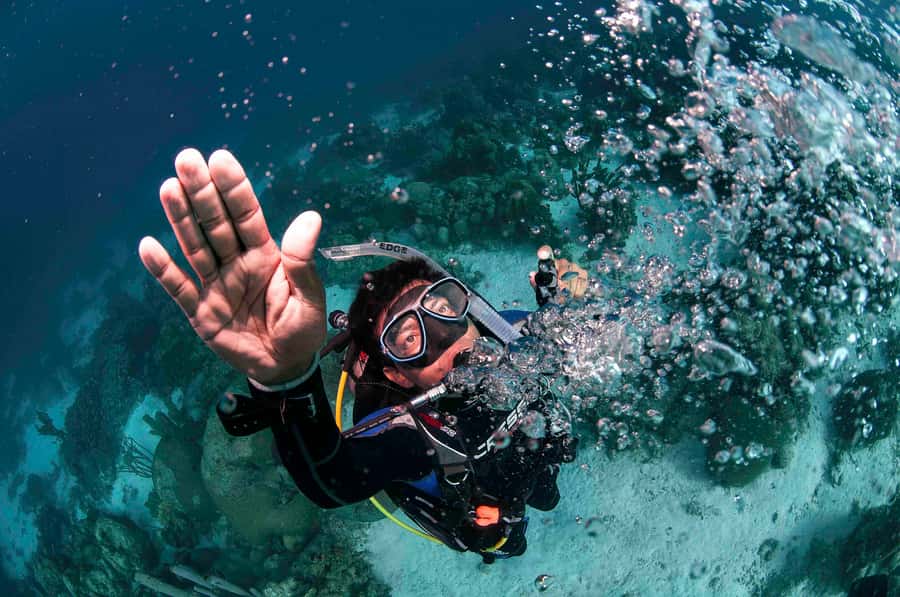 Tayrona National Park: Scuba Diving Tour for Beginners - Calm-Water Practice Around Tayrona: Why the Setting Matters