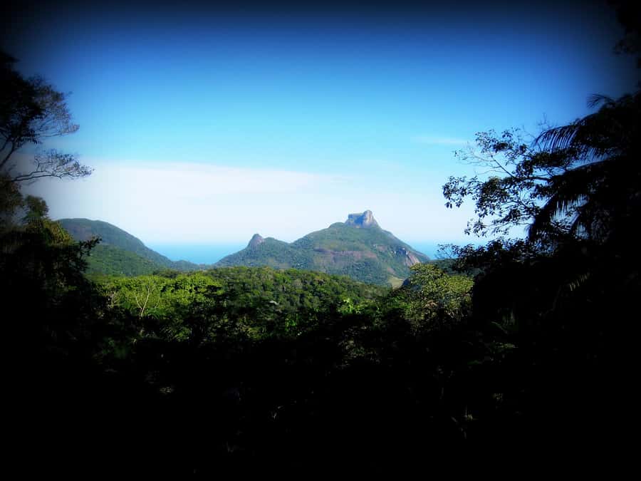 Tijuca Forest´s hike: caves, waterfalls and great views - Guides and pacing: why Lucas (and Mirna) get praised